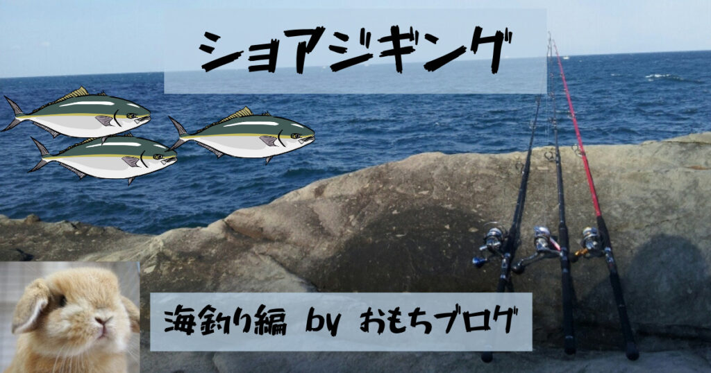 おもちブログショアジギング